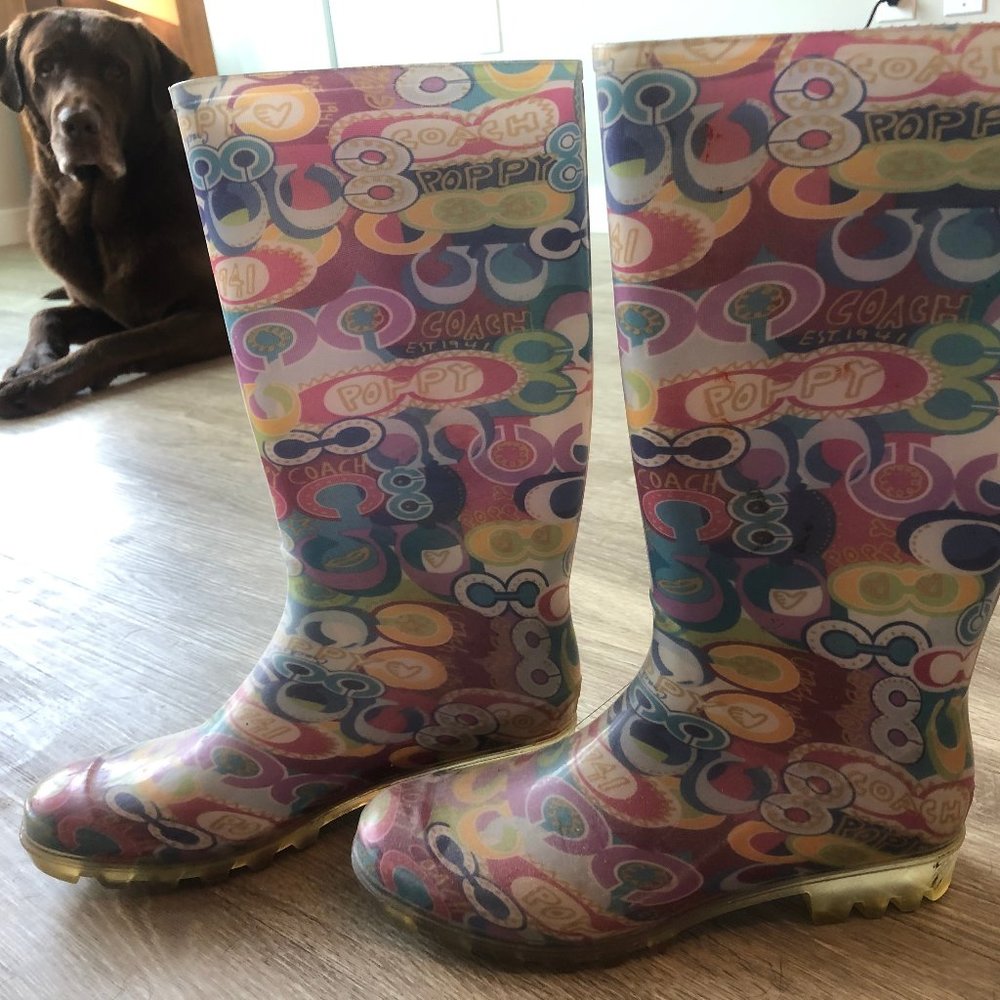 Multicolor Coach rubber rainboots